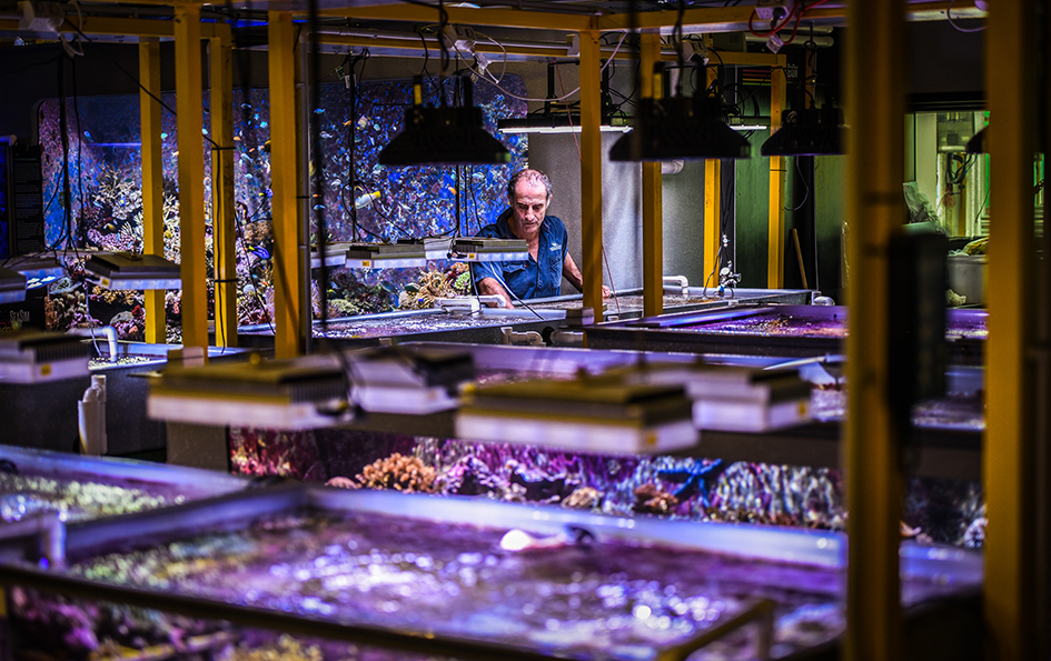 Sea water analysis at Australian Institute of Marine Science